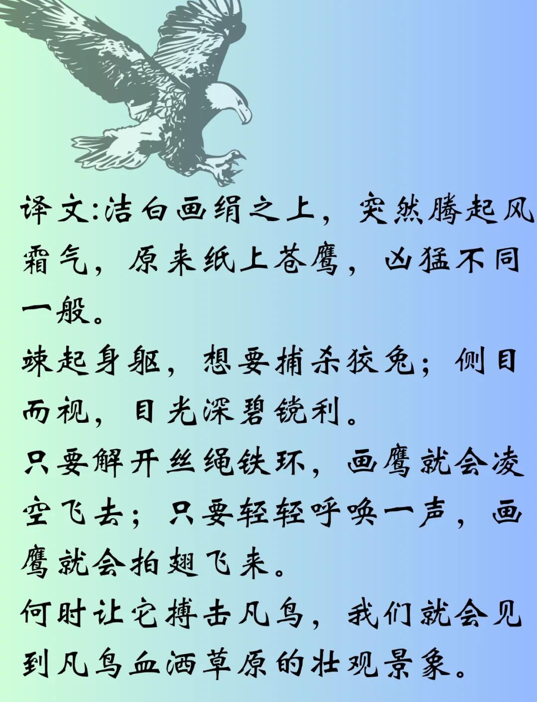 老鹰视大自然从初露锋芒乌鸥