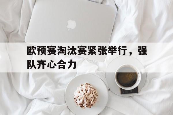 欧预赛淘汰赛紧张举行，强队齐心合力的简单介绍