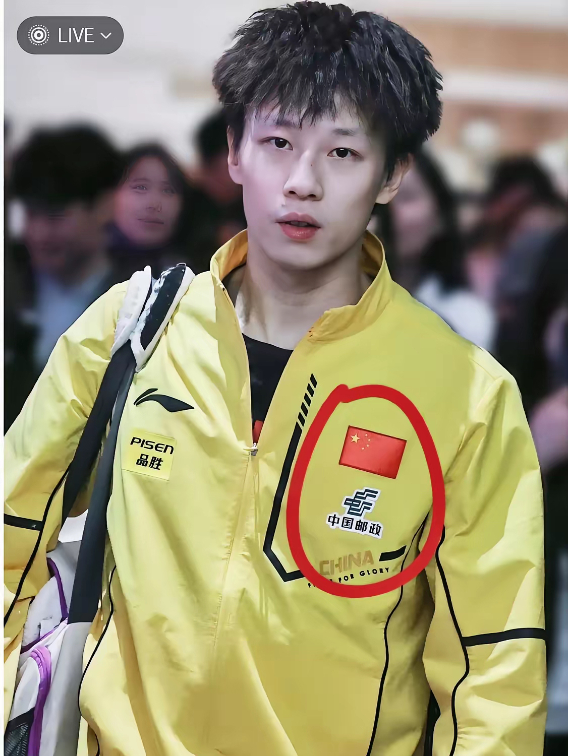 瑞典队绝杀法国队，林高远关键制胜的简单介绍