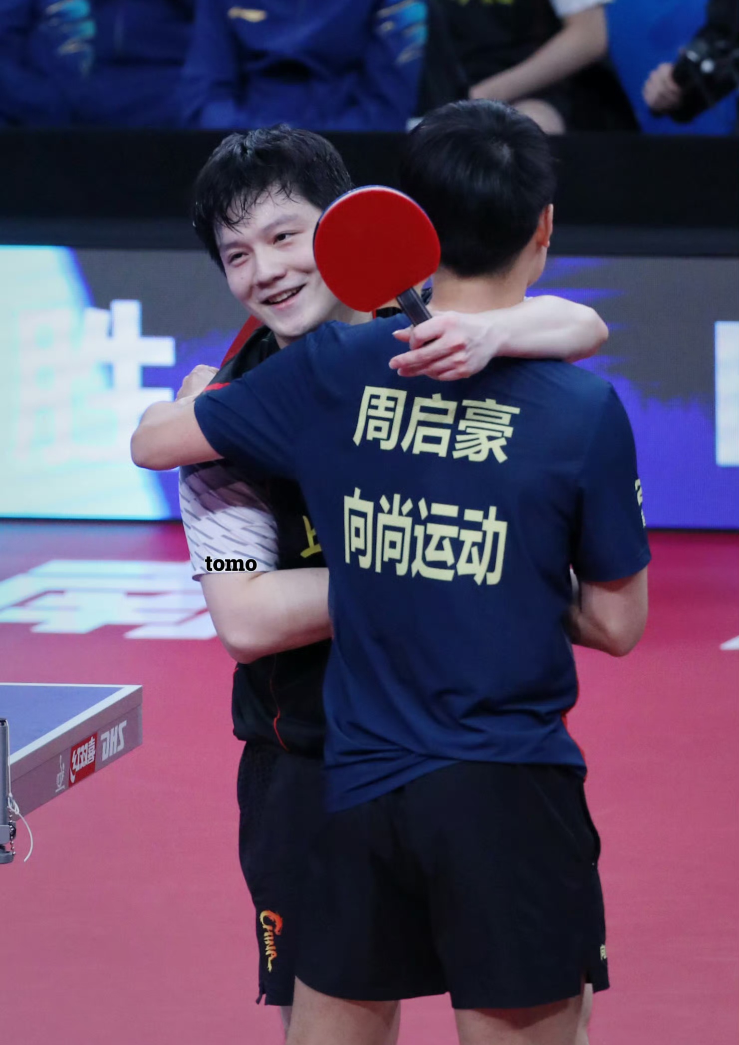 关于法国队轻取瑞典队，樊振东统治全场的信息